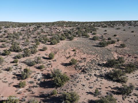 Tiny photo for TBD Stirrup Road, Snowflake, AZ 85937 (MLS # 258962)