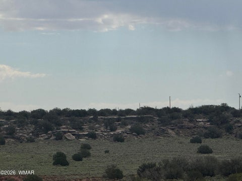 Tiny photo for TBD Stirrup Road, Snowflake, AZ 85937 (MLS # 258962)