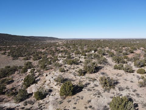 Tiny photo for TBD Stirrup Road, Snowflake, AZ 85937 (MLS # 258962)