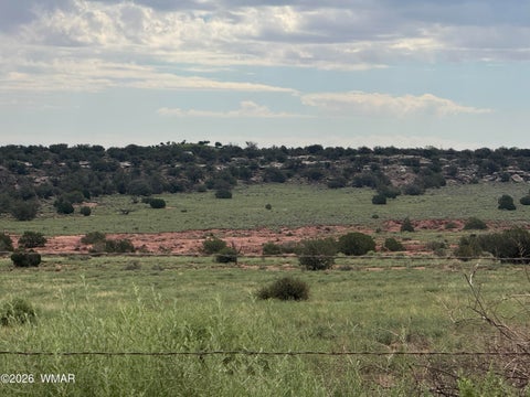Tiny photo for TBD Stirrup Road, Snowflake, AZ 85937 (MLS # 258962)