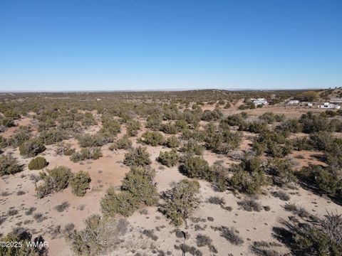 Tiny photo for TBD Stirrup Road, Snowflake, AZ 85937 (MLS # 258962)