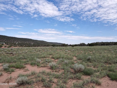 Tiny photo for TBD Stirrup Road, Snowflake, AZ 85937 (MLS # 258962)