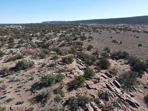 Tiny photo for TBD Stirrup Road, Snowflake, AZ 85937 (MLS # 258962)