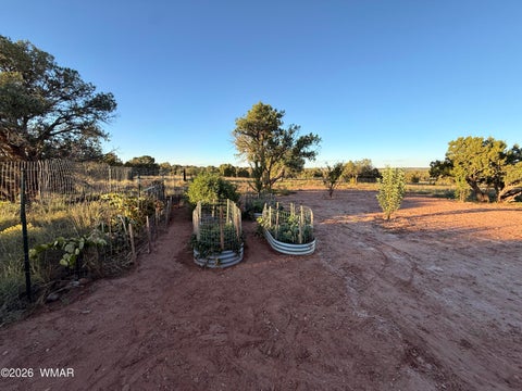 Tiny photo for 50 N9230, Concho, AZ 85924 (MLS # 263459)