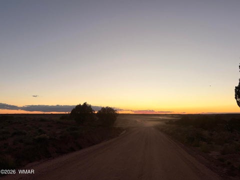Tiny photo for 50 N9230, Concho, AZ 85924 (MLS # 263459)