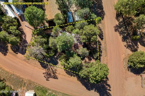 Tiny photo for 2176 Tenderfoot Trail, Overgaard, AZ 85933 (MLS # 257816)