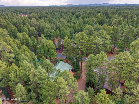 Tiny photo for 5727 Mule Deer Way, Pinetop, AZ 85935 (MLS # 262031)