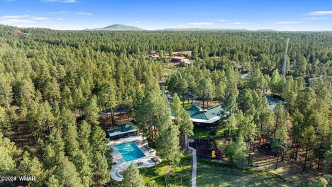 Tiny photo for 5727 Mule Deer Way, Pinetop, AZ 85935 (MLS # 262031)