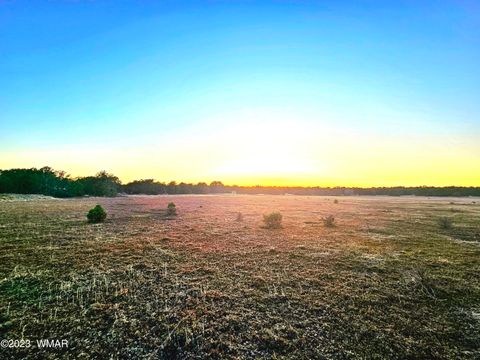 Tiny photo for 1606 Echo Court, Show Low, AZ 85901 (MLS # 256477)