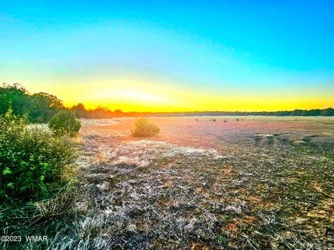 Tiny photo for 1606 Echo Court, Show Low, AZ 85901 (MLS # 256477)