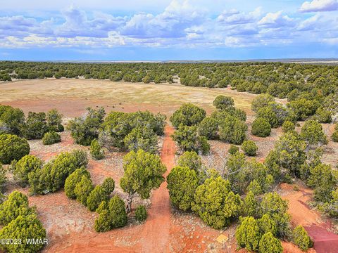 Tiny photo for 1606 Echo Court, Show Low, AZ 85901 (MLS # 256477)