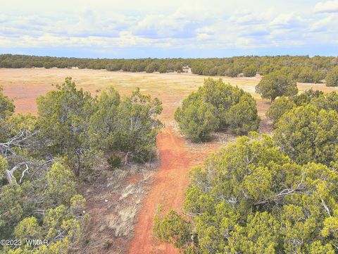 Tiny photo for 1606 Echo Court, Show Low, AZ 85901 (MLS # 256477)