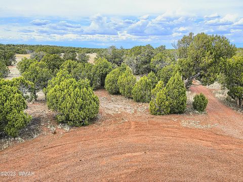 Tiny photo for 1606 Echo Court, Show Low, AZ 85901 (MLS # 256477)