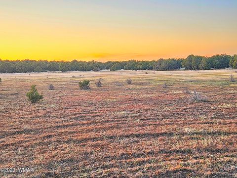 Tiny photo for 1606 Echo Court, Show Low, AZ 85901 (MLS # 256477)