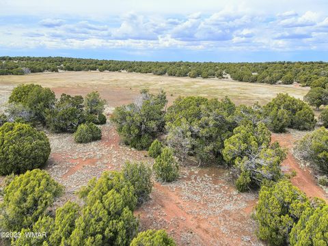 Tiny photo for 1606 Echo Court, Show Low, AZ 85901 (MLS # 256477)