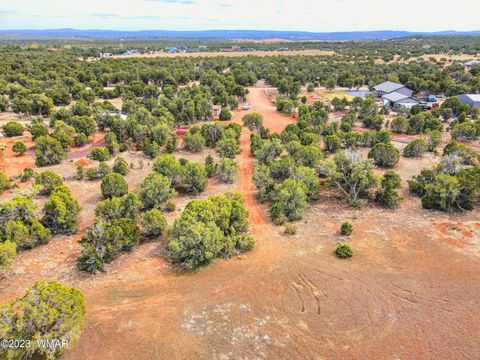 Tiny photo for 1606 Echo Court, Show Low, AZ 85901 (MLS # 256477)