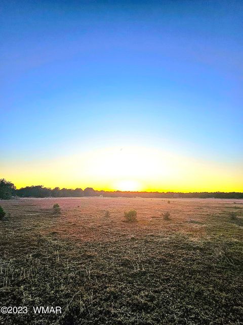 Tiny photo for 1606 Echo Court, Show Low, AZ 85901 (MLS # 256477)