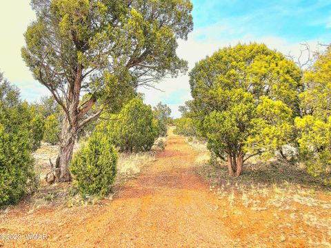 Tiny photo for 1606 Echo Court, Show Low, AZ 85901 (MLS # 256477)