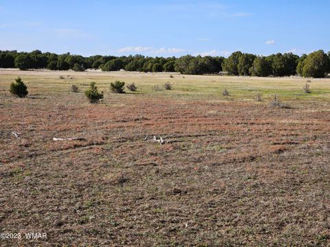 Tiny photo for 1606 Echo Court, Show Low, AZ 85901 (MLS # 256477)