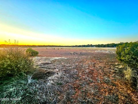 Tiny photo for 1606 Echo Court, Show Low, AZ 85901 (MLS # 256477)