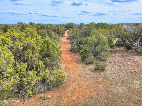 Tiny photo for 1606 Echo Court, Show Low, AZ 85901 (MLS # 256477)