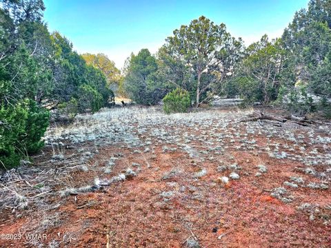 Tiny photo for 1606 Echo Court, Show Low, AZ 85901 (MLS # 256477)