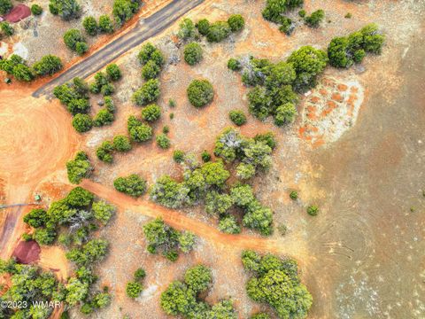 Tiny photo for 1606 Echo Court, Show Low, AZ 85901 (MLS # 256477)