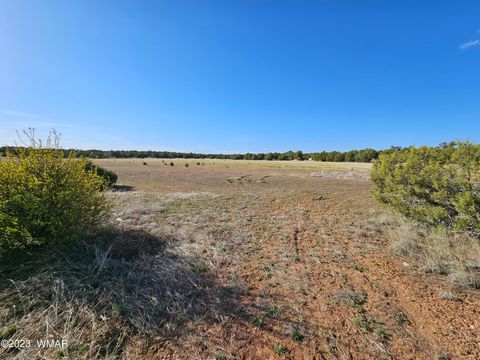 Tiny photo for 1606 Echo Court, Show Low, AZ 85901 (MLS # 256477)