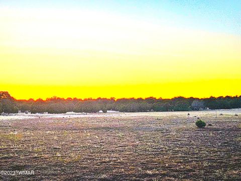 Tiny photo for 1606 Echo Court, Show Low, AZ 85901 (MLS # 256477)