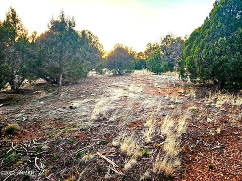 Tiny photo for 1606 Echo Court, Show Low, AZ 85901 (MLS # 256477)