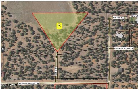 Tiny photo for 1606 Echo Court, Show Low, AZ 85901 (MLS # 256477)