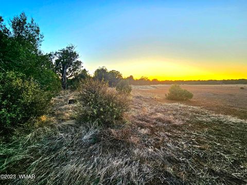 Tiny photo for 1606 Echo Court, Show Low, AZ 85901 (MLS # 256477)