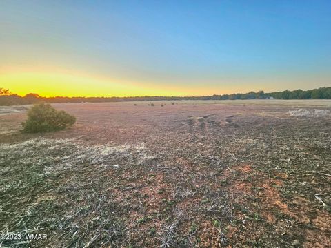 Tiny photo for 1606 Echo Court, Show Low, AZ 85901 (MLS # 256477)