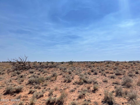 Photo of Parcel B Highway 77, Snowflake, AZ 85937 (MLS # 257123)
