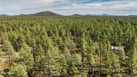 Tiny photo for 4.74 Acres Birdsong Way, Lakeside, AZ 85929 (MLS # 259770)