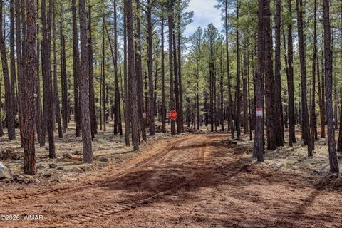 Tiny photo for 4.74 Acres Birdsong Way, Lakeside, AZ 85929 (MLS # 259770)