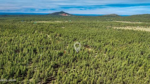 Tiny photo for 4.74 Acres Birdsong Way, Lakeside, AZ 85929 (MLS # 259770)
