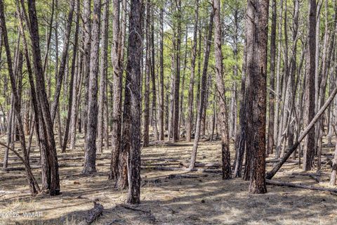 Tiny photo for 4.74 Acres Birdsong Way, Lakeside, AZ 85929 (MLS # 259770)