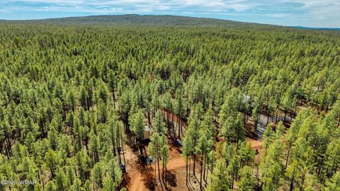 Tiny photo for 4.74 Acres Birdsong Way, Lakeside, AZ 85929 (MLS # 259770)