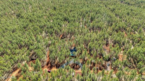 Tiny photo for 4.74 Acres Birdsong Way, Lakeside, AZ 85929 (MLS # 259770)