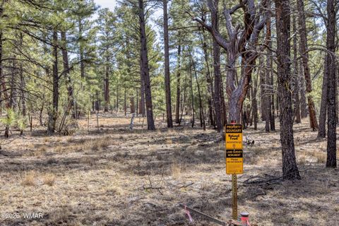 Tiny photo for 4.74 Acres Birdsong Way, Lakeside, AZ 85929 (MLS # 259770)
