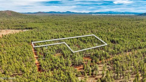 Photo of 4.74 Acres Birdsong Way, Lakeside, AZ 85929 (MLS # 259770)