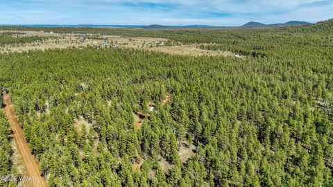 Tiny photo for 4.74 Acres Birdsong Way, Lakeside, AZ 85929 (MLS # 259770)