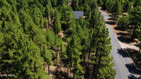 Tiny photo for 711 Pine Creek Drive, Lakeside, AZ 85929 (MLS # 262477)