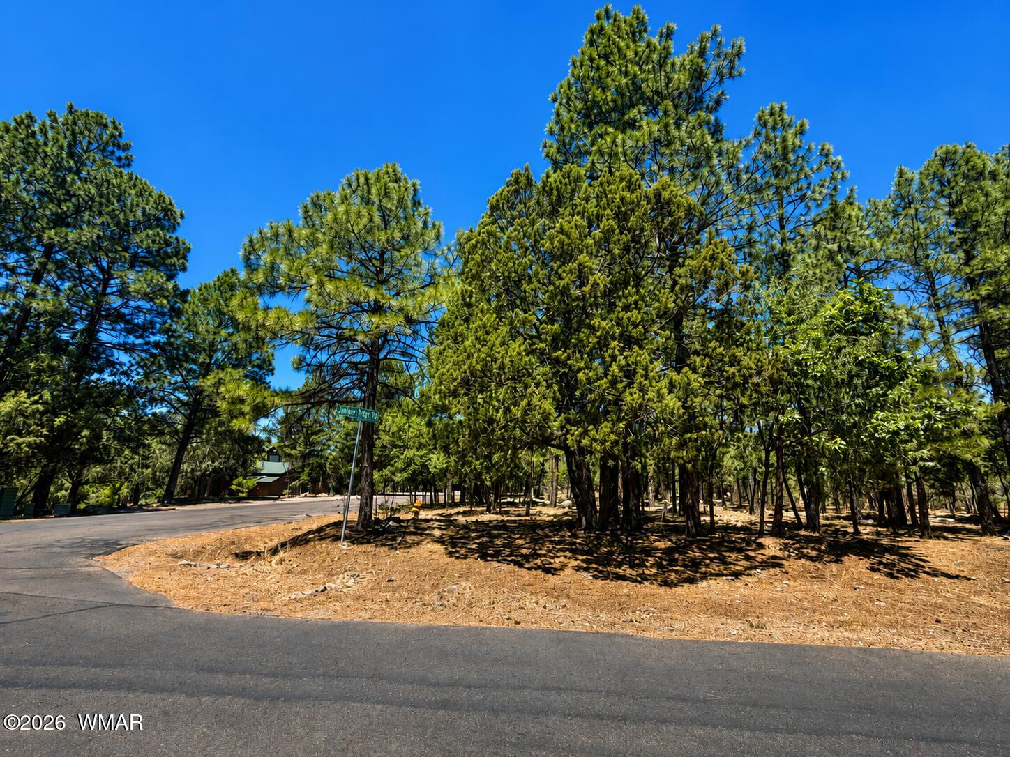 711 Pine Creek Drive