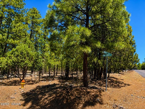 Tiny photo for 711 Pine Creek Drive, Lakeside, AZ 85929 (MLS # 262477)