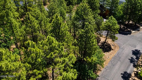 Tiny photo for 711 Pine Creek Drive, Lakeside, AZ 85929 (MLS # 262477)