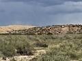 Tiny photo for G-BarRanch Lot 34, Saint Johns, AZ 85936 (MLS # 262877)