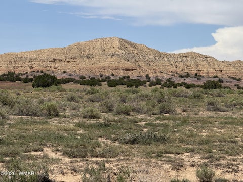 Tiny photo for G-BarRanch Lot 34, Saint Johns, AZ 85936 (MLS # 262877)
