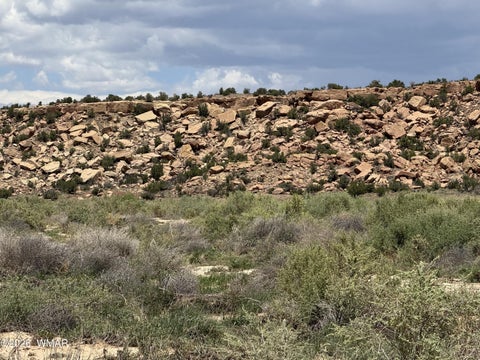 Photo of G-BarRanch Lot 34, Saint Johns, AZ 85936 (MLS # 262877)